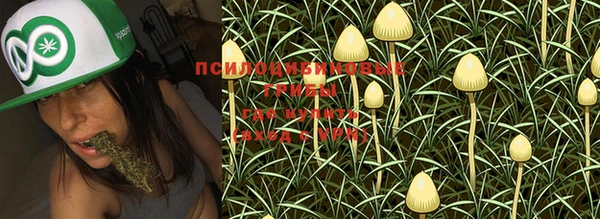 MESCALINE Богородицк