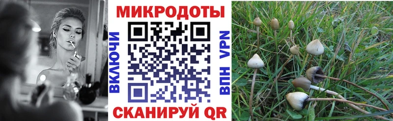 кракен онион Мглин Галлюциногенные грибы Magic Shrooms